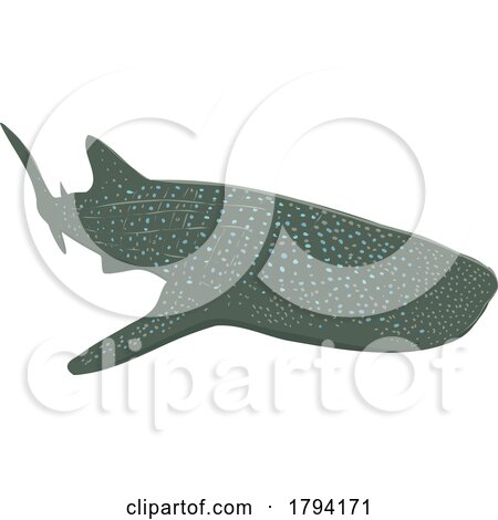Whale Shark Swimming Front WPA Art by patrimonio