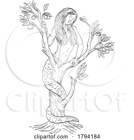 Draconcopedes Curled in Tree Medieval Style Line Art Drawing by patrimonio