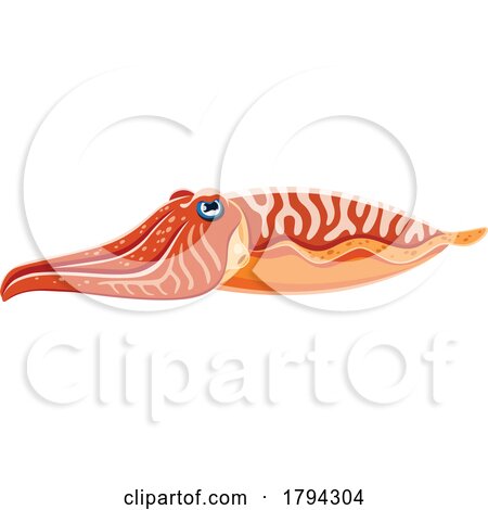 Cuttlefish by Vector Tradition SM