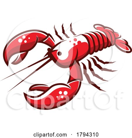 Lobster by Vector Tradition SM