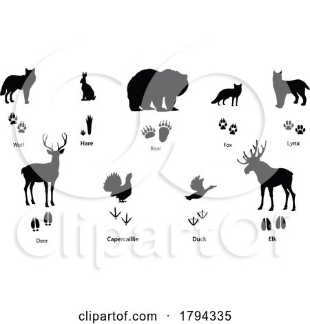 Silhouetted Animals and Tracks by Vector Tradition SM