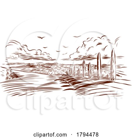 Rural Landscape Panoramic by Domenico Condello