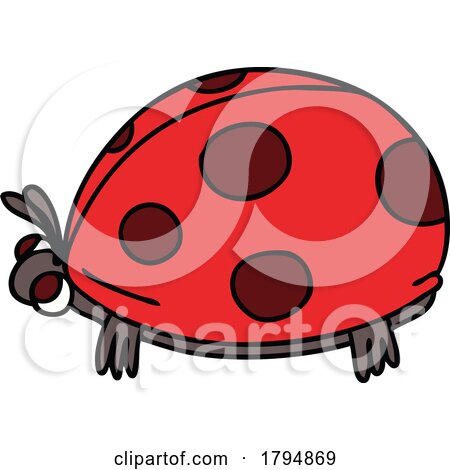 Clipart Cartoon Ladybird by lineartestpilot