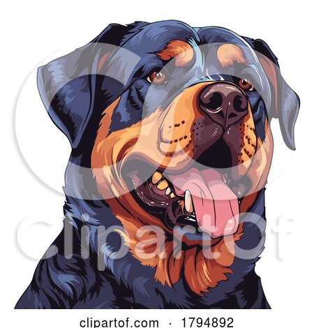 Rottweiler Dog Portrait by stockillustrations