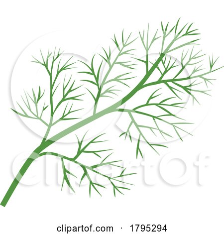 Dill Weed by Vector Tradition SM