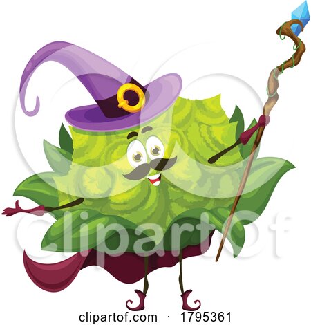 Wizard Romanesco Vegetable Food Mascot by Vector Tradition SM