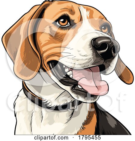 Beagle Dog by stockillustrations