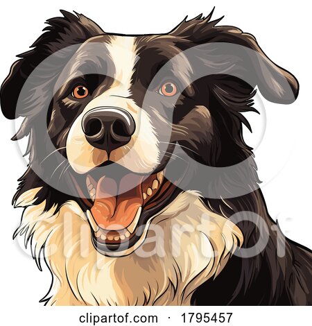 Border Collie by stockillustrations