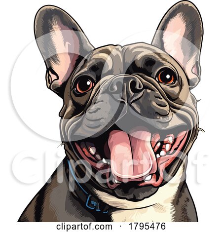 French Bulldog by stockillustrations