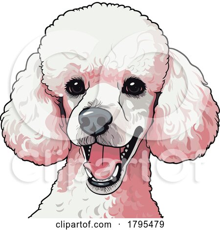 Poodle by stockillustrations