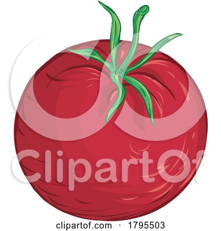Cartoon Tomato by Domenico Condello