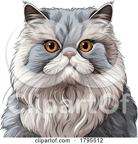 Persian Cat by stockillustrations