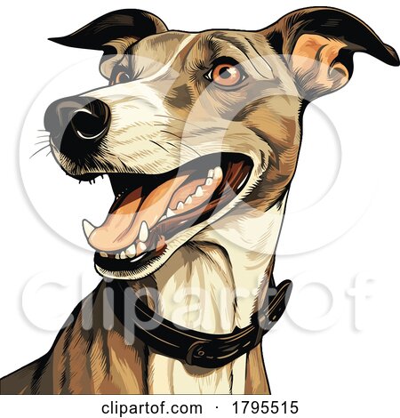 Whippet by stockillustrations