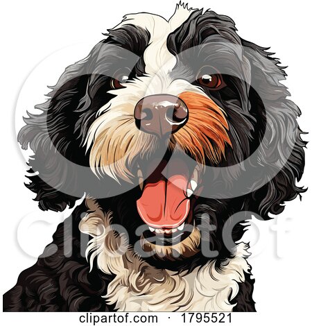 Portuguese Water Dog by stockillustrations