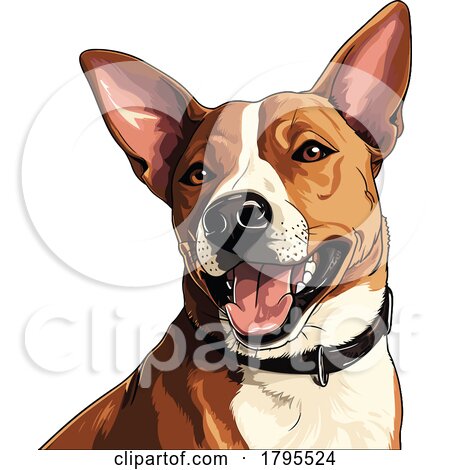 Basenji Dog by stockillustrations
