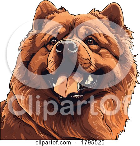 Chow Chow Dog by stockillustrations
