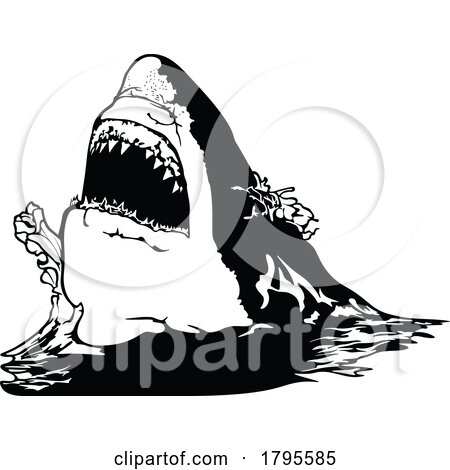 Great White Shark Biting by dero