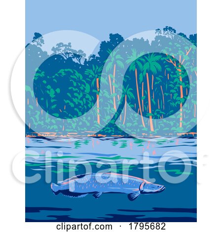 Arapaima in the Amazon River or Río Amazonas in South America WPA Art Deco Poster by patrimonio