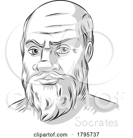 Socrates Greek Philosopher Hand Drawn Line Art Portrait Illustration by Domenico Condello