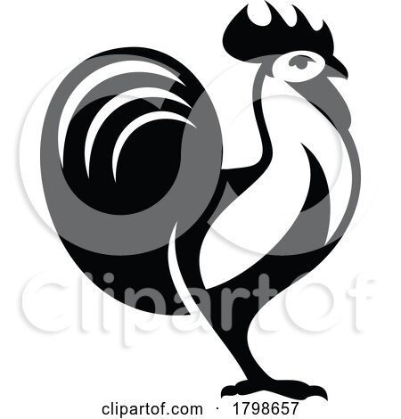 Black and White Rooster by Vector Tradition SM