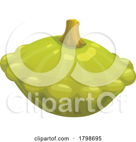 Pattypan Squash by Vector Tradition SM