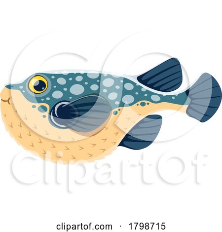 Puffer Fish by Vector Tradition SM
