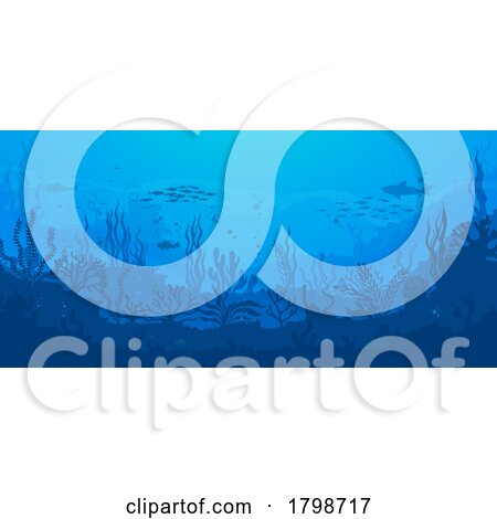Ocean Background with Silhouetted Sea Life by Vector Tradition SM