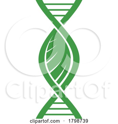 Green Leaf DNA Strand by Vector Tradition SM