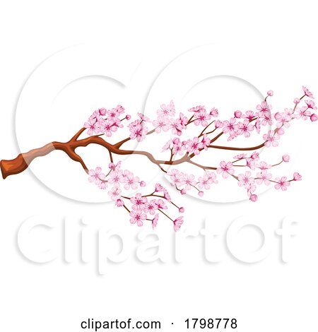 Cherry Blossoms by Vector Tradition SM