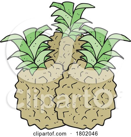 Cartoon Clipart Pineapples by lineartestpilot