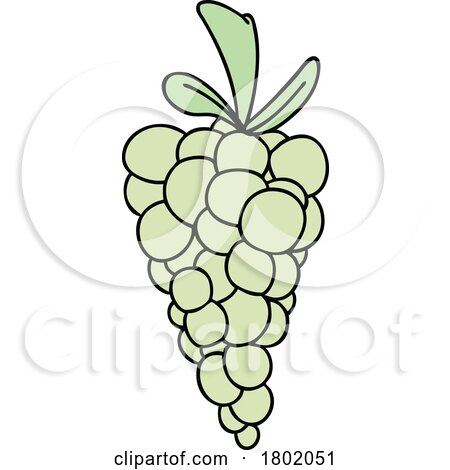 Cartoon Clipart Green Grapes by lineartestpilot