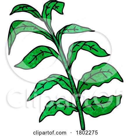 Cartoon Clipart Vine Leaves by lineartestpilot