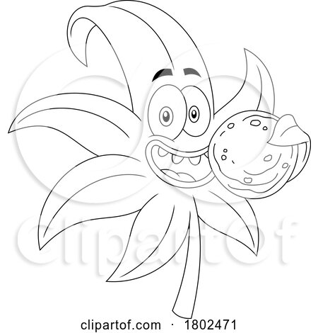 Cartoon Black and White Clipart Cannabis Marijuana Pot Leaf Character Munching on a Cookie by Hit Toon