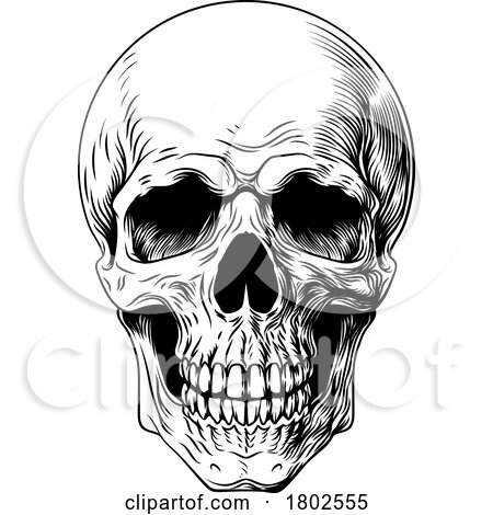 Human Skull Woodcut Intaglio Illustration by AtStockIllustration