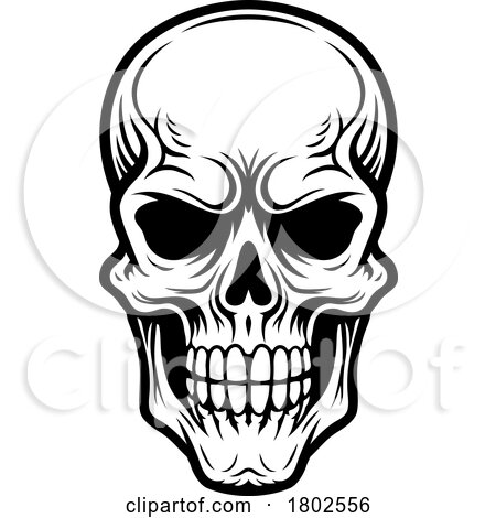 Human Skull Cartoon Illustration by AtStockIllustration