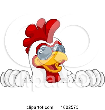 Chicken Rooster Cockerel Bird Sunglasses Cartoon by AtStockIllustration