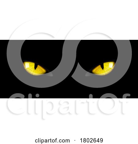 Black Cat Eyes by Vector Tradition SM