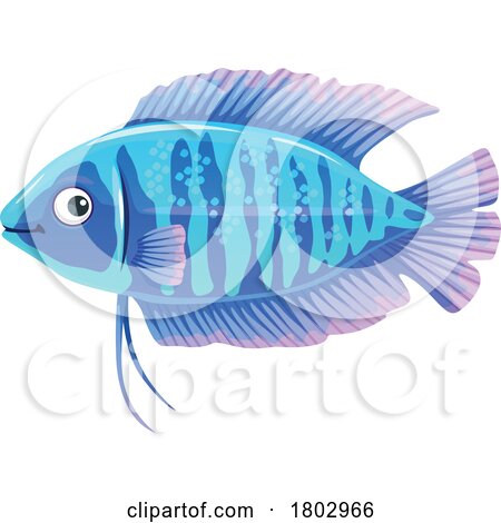 Gourami Fish by Vector Tradition SM