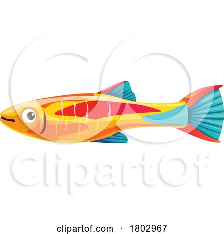 Neon Tetra Fish by Vector Tradition SM