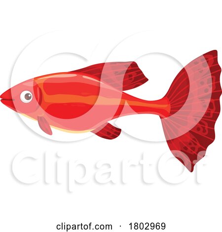 Red Fish by Vector Tradition SM