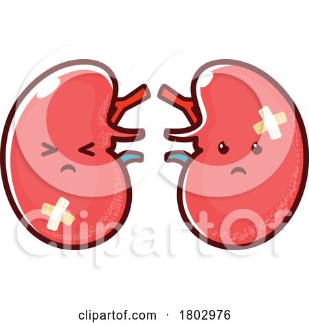 Sick Kidneys by Vector Tradition SM