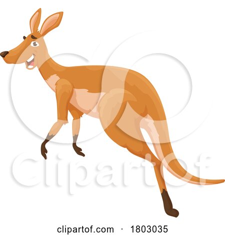 Kangaroo by Vector Tradition SM