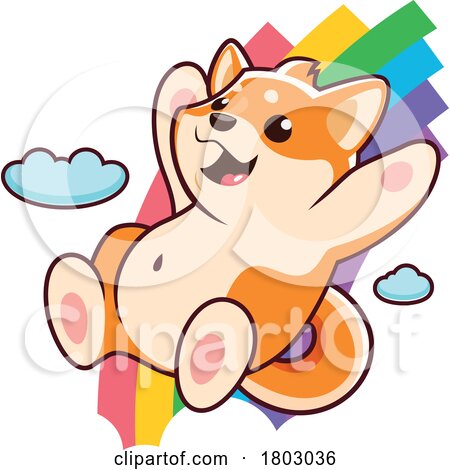 Shiba Inu Dog Sliding on a Rainbow by Vector Tradition SM