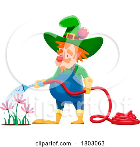 Gnome Gardener Watering Flowers by Vector Tradition SM