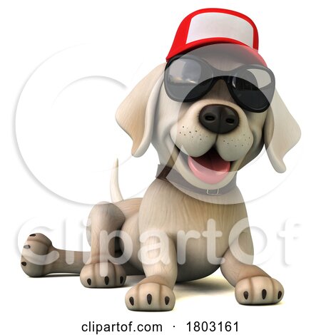 Yellow Labrador Puppy Dog 3d Wearing a Hat and Sunglasses on a White Background by Julos