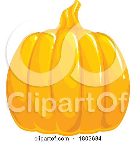 Pumpkin by Vector Tradition SM