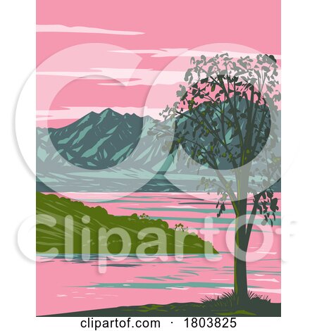Lake Havasu in California and Arizona USA WPA Art Poster by patrimonio