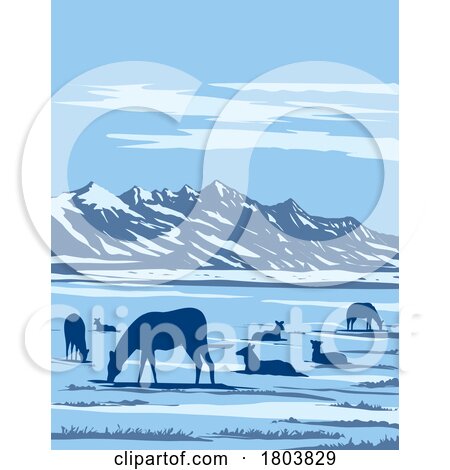 Wapiti at the National Elk Refuge in Jackson Hole in Wyoming USA WPA Art Poster by patrimonio
