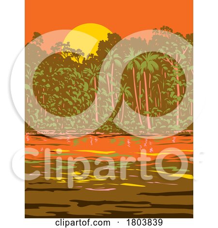 Amazon River or Rio Amazonas in South America WPA Art Deco Poster by patrimonio
