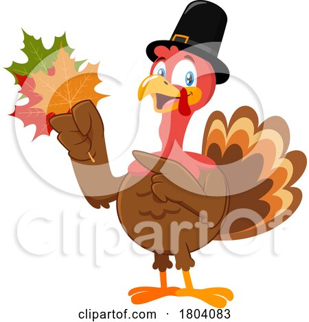 Cartoon Thanksgiving Pilgrim Turkey Bird Mascot Holding Autumn Leaves by Hit Toon